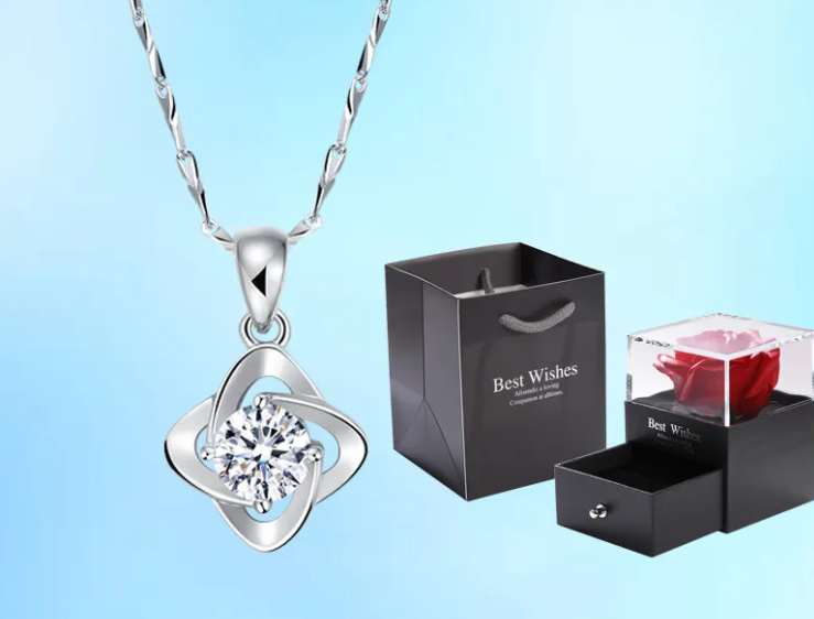 Sterling Drop Necklace